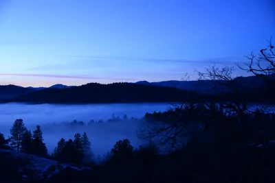 DSC_1081 (Large).JPG